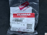 Розпилювач форсунки Yanmar 3TNA72 755-2-1894 фото